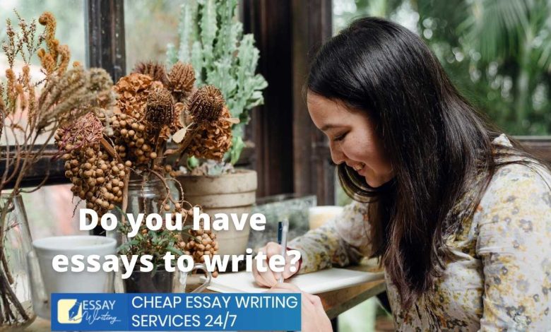 essay writing