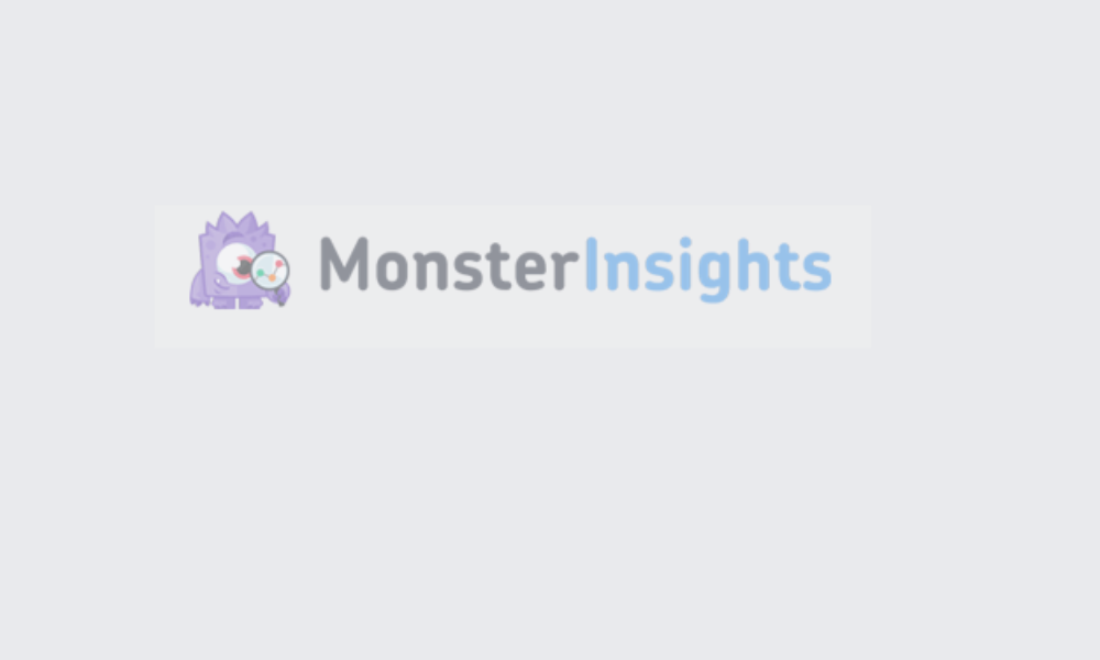 MonesterInsights