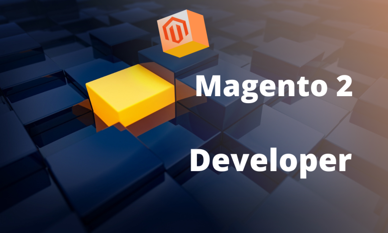 Hire Magento 2 Developer