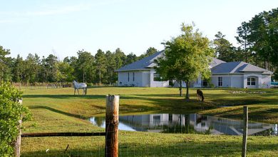 Ranches for sale: Things you must need to know!
