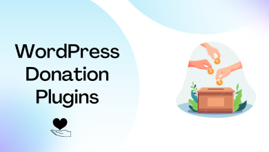 WordPress Donation Plugins