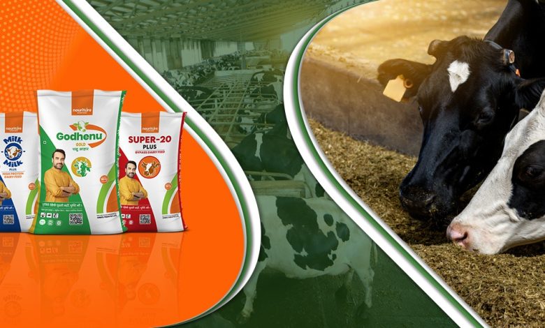 best cattle feed manufacture