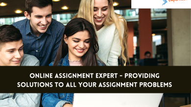 Online Assignment Expert - Providing Solutions to all Your Assignment Problems