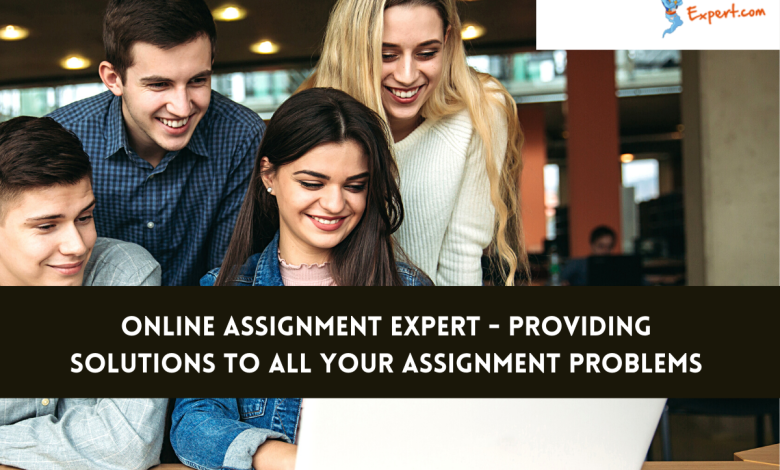 Online Assignment Expert - Providing Solutions to all Your Assignment Problems
