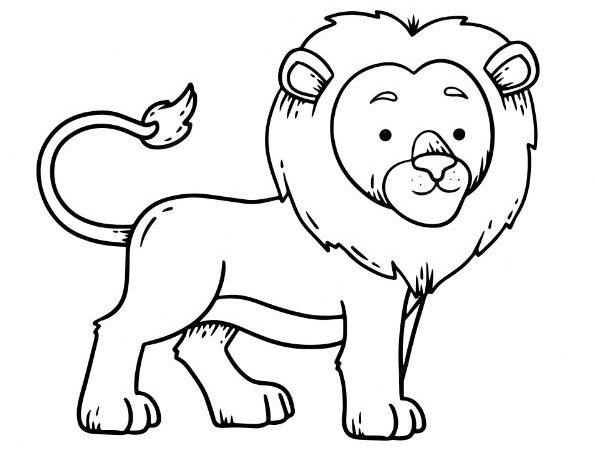 Animation Lion