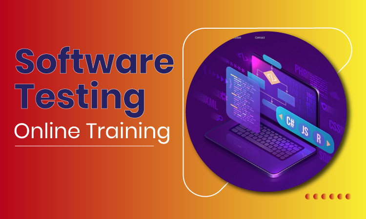 Software Testing