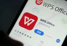 WPS Writer